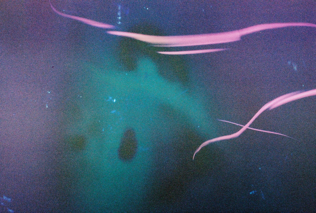 Madeleine Stearns 'Inside Voices'